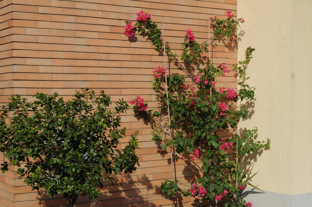 Marinetta Bed & Breakfast Signa Exterior foto